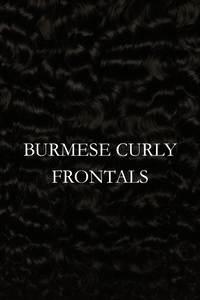 Burmese Curly Frontals