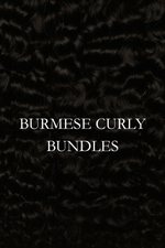Burmese Curly Bundles
