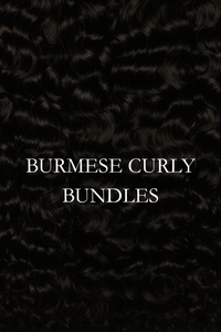 Burmese Curly Bundles